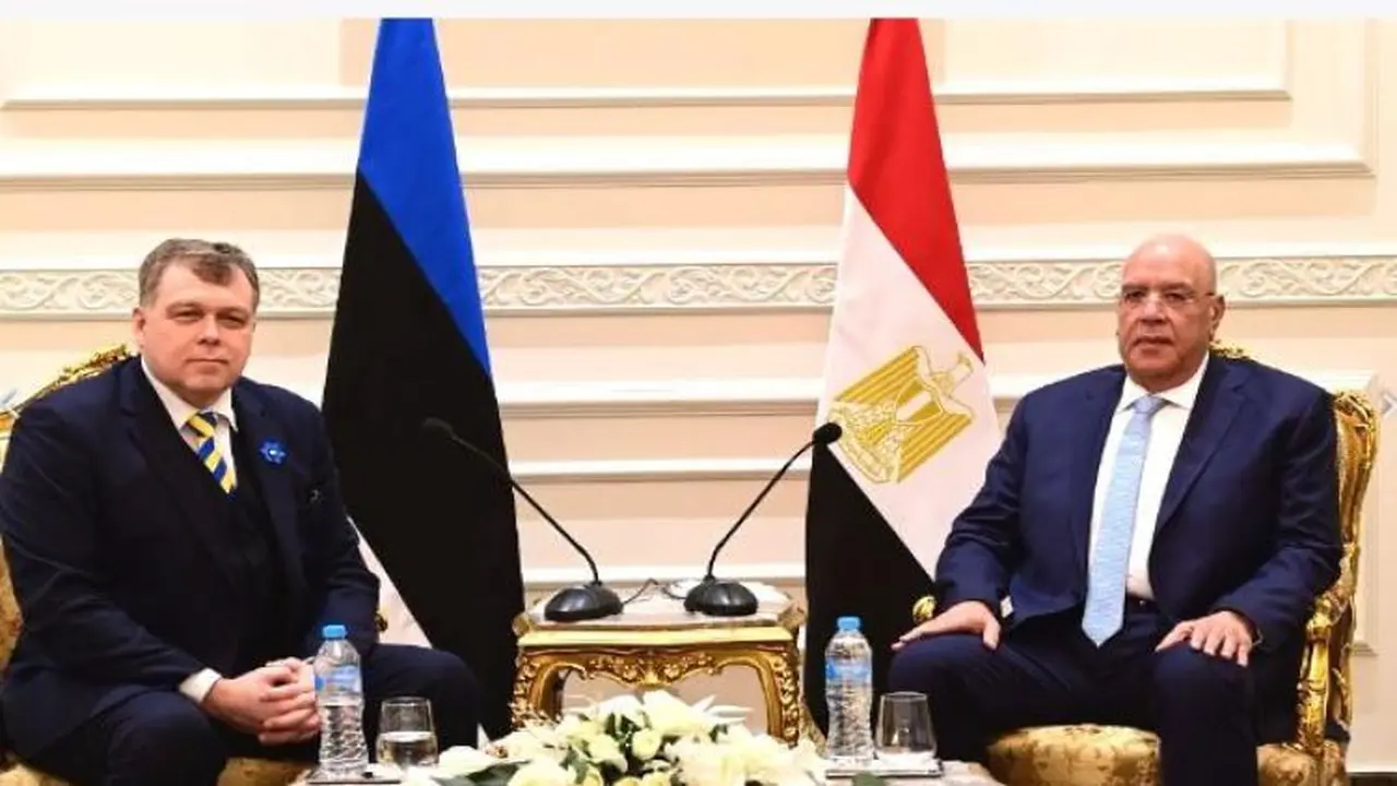 رئيس مجلس النواب يبحث تعزيز العلاقات الثنائية المتميزة بين مصر وإستونيا